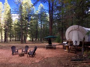 Vườn quanh Well-Equipped Conestoga Wagon Rental for a Family Vacation in Alton, Utah