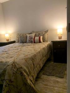 a bedroom with a large bed with two tables and two lamps at Picturesque Cottage with Fire Pit in Dunnellon, Florida in Dunnellon