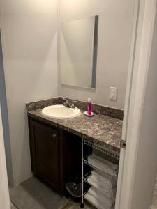a bathroom with a sink and a mirror at Picturesque Cottage with Fire Pit in Dunnellon, Florida in Dunnellon +24 photos