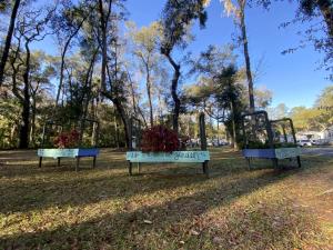 drei Schaukeln in einem Park mit Bäumen im Hintergrund in der Unterkunft Picturesque Cottage with Fire Pit in Dunnellon, Florida in Dunnellon + 34 Fotos