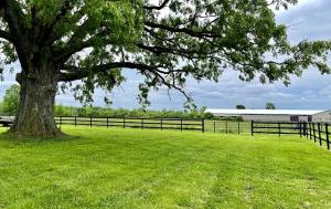 un gran árbol en un campo junto a una valla en Charming Cabin Surrounded by Woods and Fields in Oberlin, Ohio, en Oberlin