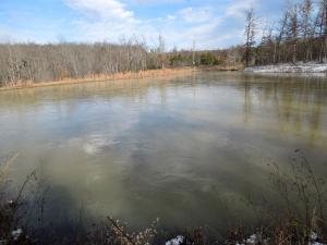 ein großes Gewässer mit Bäumen im Hintergrund in der Unterkunft Family Cabin Vacation Getaway with Waterfall Views in Northwest Arkansas in Ponca + 4 Fotos