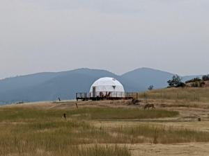 Příroda nedaleko luxury tent