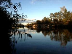 a view of a river with trees in the background at Cabin Surrounded by Sublime Nature near Lake Huron, Michigan in Port Austin