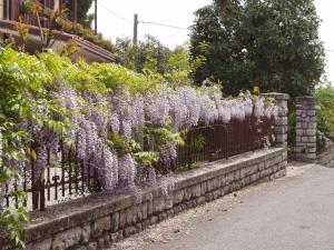 Zahrada ubytování B&B Il Glicine