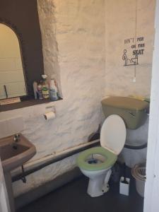 a bathroom with a green toilet and a sink at Parkhouse farm caravan in Easby