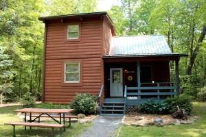 a log cabin with a picnic table in front of it at Charming Cabin Rental in the Forest near Beckley, West Virginia in Hico