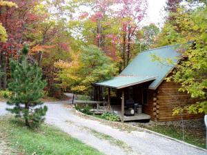 a log cabin in the middle of a forest at Spacious Cabin Rental with a Hot Tub near the Gauley River in West Virginia in Hico