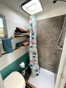 a small bathroom with a toilet and a shower at Marble Falls Retro Caravan Glamping: Your Vintage Getaway Awaits in Marble Falls