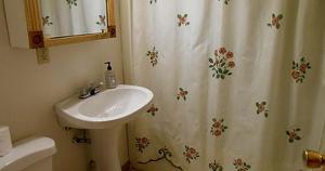 Koupelna v ubytování Family-Friendly Cabin Accommodation with Large Yard near Woodstock