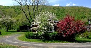 Příroda nedaleko prázdninového domu