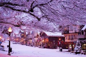 a city street covered in snow with buildings and trees at Pet-Friendly Cabin Rental Overlooking a River near Skykomish, Washington in Baring