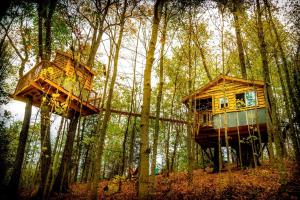 two treehouses in the middle of a forest at Stunning Tree House Tucked Away Among the Trees near Germantown, Kentucky in Germantown
