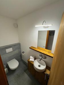 a bathroom with a sink and a toilet and a mirror at Apartment Belvedere in Wengen +11 photos
