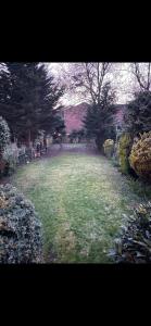 un gran campo de hierba con árboles y arbustos en Hendon Home, en Hendon