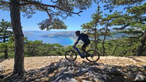 a man riding a bike on a hill at Villa LuLu kamena villa s maslinikom otok Krk Dobrinj selo Gostinjac in Krk