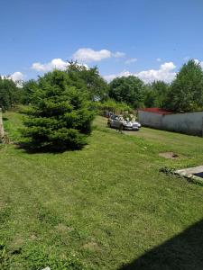 a green yard with a tree and a car at Вила "до Гората" in Zărkwischte +7 photos