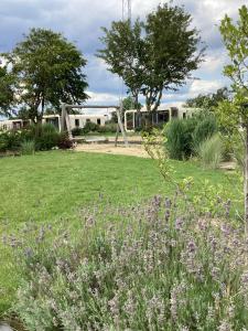 a garden with purple flowers in the grass at Marina Strandbad Chalet Sand & Seele Haus Nr 355 in Olburgen +3 photos