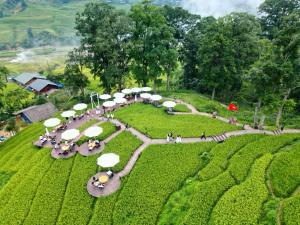 a group of tables with umbrellas on a field at MT House With Mountain View - Sa Pa Trekking Tour in Sa Pa +124 photos