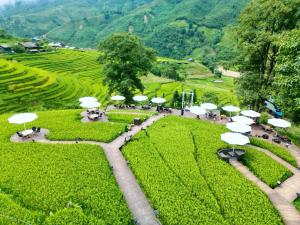 a group of tables with umbrellas in a field at MT House With Mountain View - Sa Pa Trekking Tour in Sa Pa