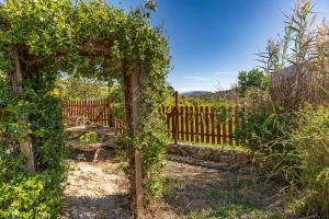 Naturlandskabet i nærheden af feriehuset
