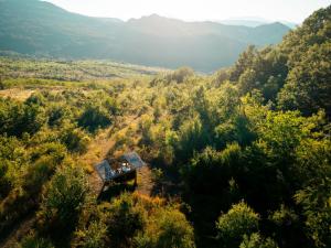 an aerial view of a forest with a table in the middle at Wild Orchard Farm in San Costantino Albanese