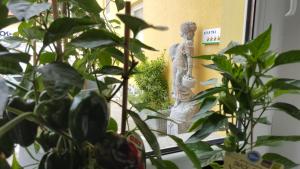 una statua seduta sul davanzale di una finestra accanto alle piante di E&E Apartments a Lubiana
