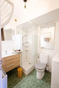 a bathroom with a shower and a toilet and a sink at LE LEMAN - 5 min à pieds du lac, des plages, des parcs in Publier