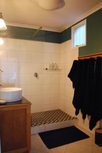 a bathroom with a sink and a shower at Essio's Garden Apartment, Simons Town South Africa in Simonʼs Town +17 photos
