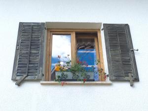 a window with a potted plant on a window sill at Old Bled House in Bled