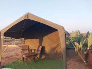 Φωτογραφία από το άλμπουμ του Rooidakkies σε Breede River DC