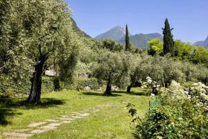 加尔达湖滨Casa O-live的林地和草地上的一条小径