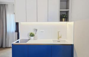 a kitchen with blue and white cabinets and a sink at Studio Apartment Jasna 1 by Villas Guide in Rovinj +11 photos