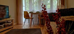 Μια τηλεόραση ή/και κέντρο ψυχαγωγίας στο Apartament Wapienna