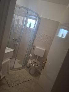 a bathroom with a toilet and a glass shower at Zvjezdana in Kampor +13 photos