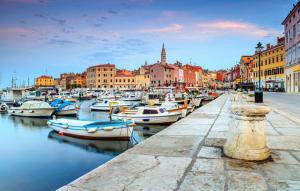a group of boats are docked in a harbor at Apartment Jasna 2 by Villas Guide in Rovinj