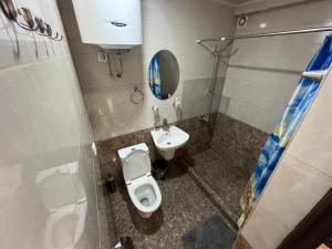 a bathroom with a toilet and a sink at Hotel Hovit in Bagratashen