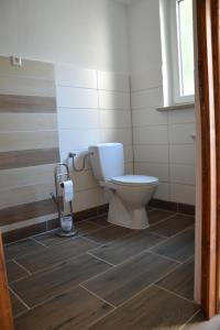 a bathroom with a toilet in a room at Campingfass Bunge 2 in Behlitz