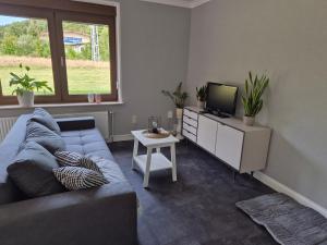a living room with a blue couch and a television at Alte Ölmühle im Herzen des Thüringer Waldes in Friedrichroda
