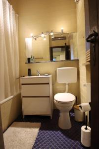 a bathroom with a toilet and a sink and a mirror at Schöner Bungalow Am Venekotensee in Elmpt