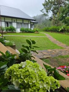 Foto de la galería de Powysland Bungalow en Nuwara Eliya 96 fotos más