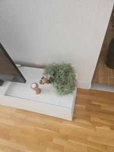 Φωτογραφία από το άλμπουμ του Cozy rooms near the New York cafe στη Βουδαπέστη