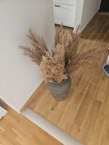 Φωτογραφία από το άλμπουμ του Cozy rooms near the New York cafe στη Βουδαπέστη