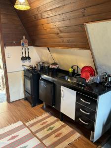 a kitchen with a stove and a sink in a room at Chalé Águia in Petrópolis