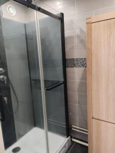 a shower with a glass door in a bathroom at Altitude Intérieure in Le Perrey
