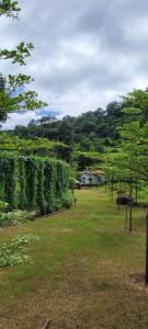 a field with trees and a house in the distance at Aristaa Morni Hills: Pristine Stay in the Wild in Morni