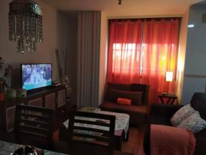 a living room with a couch and a tv at Cozy apartment in Orense of 45 m² with parking in Ourense +19 photos