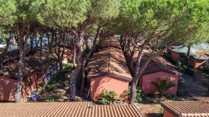 una vista aérea de un grupo de casas con árboles en Residence with swimming pool in Albinia just 150 mt from the beach, en Albinia