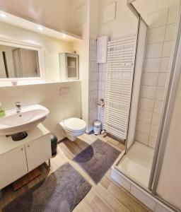 ヴィスマールにあるUrlaub im Herzen Wismars EG hinten mit Gartenのトイレ、洗面台、シャワー付きのバスルーム