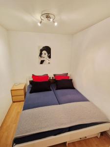 ヴィスマールにあるUrlaub im Herzen Wismars EG hinten mit Gartenのベッドルーム1室(赤と黒の枕が付くベッド1台付)